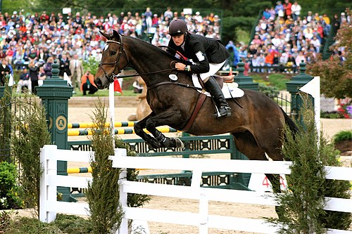 Rolex Kentucky Three-Day Event